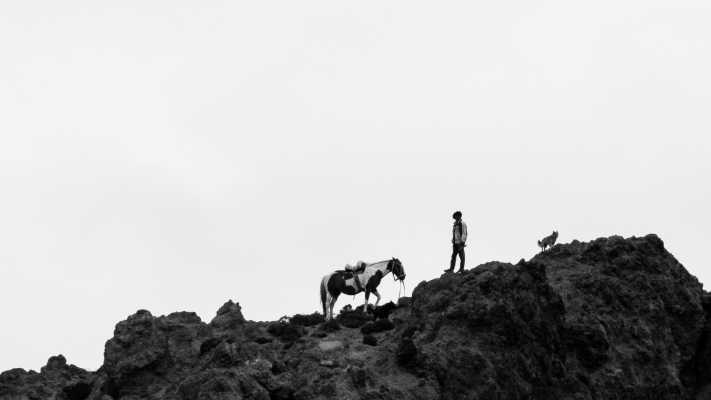 Gaucho en la distancia con su caballo y perro. Patagonia, Argentina.