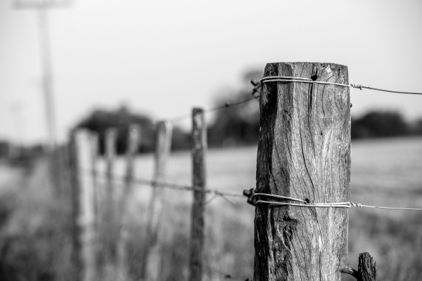 Poste de alambrado en Blanco y Negro. Patagonia, Argentina.