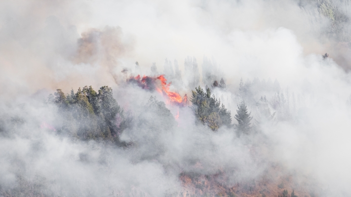 Incendio en San Martín de los Andes