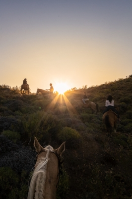 Estancia La Rinconada